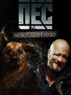 Никита Панфилов, Андрей