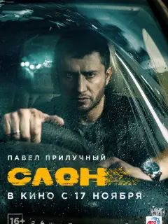 Павел Прилучный, Дмитрий