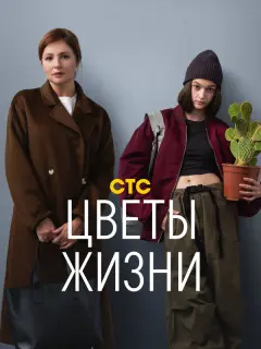 Анна Банщикова, Василиса