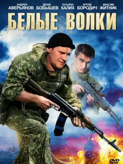 Андрей Аверьянов, Денис